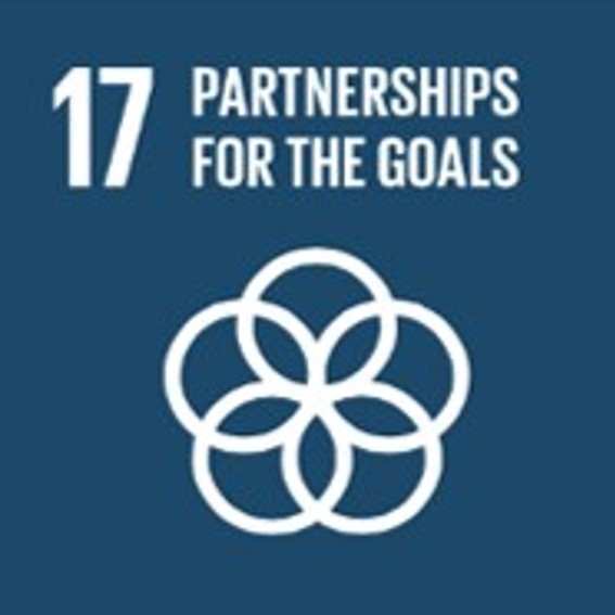 SDG17：Partnerships for the Goals