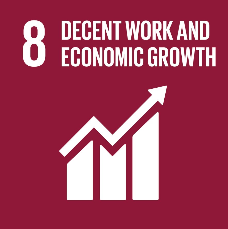 SDG8: Decent Work and Economic Growth