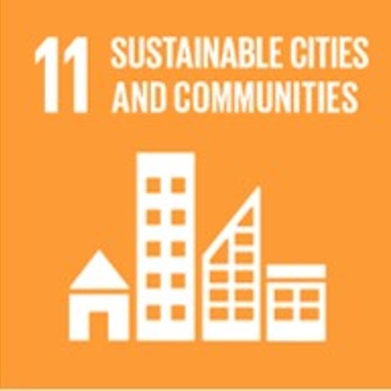 SDG11: Sustainable Cities and Communities+